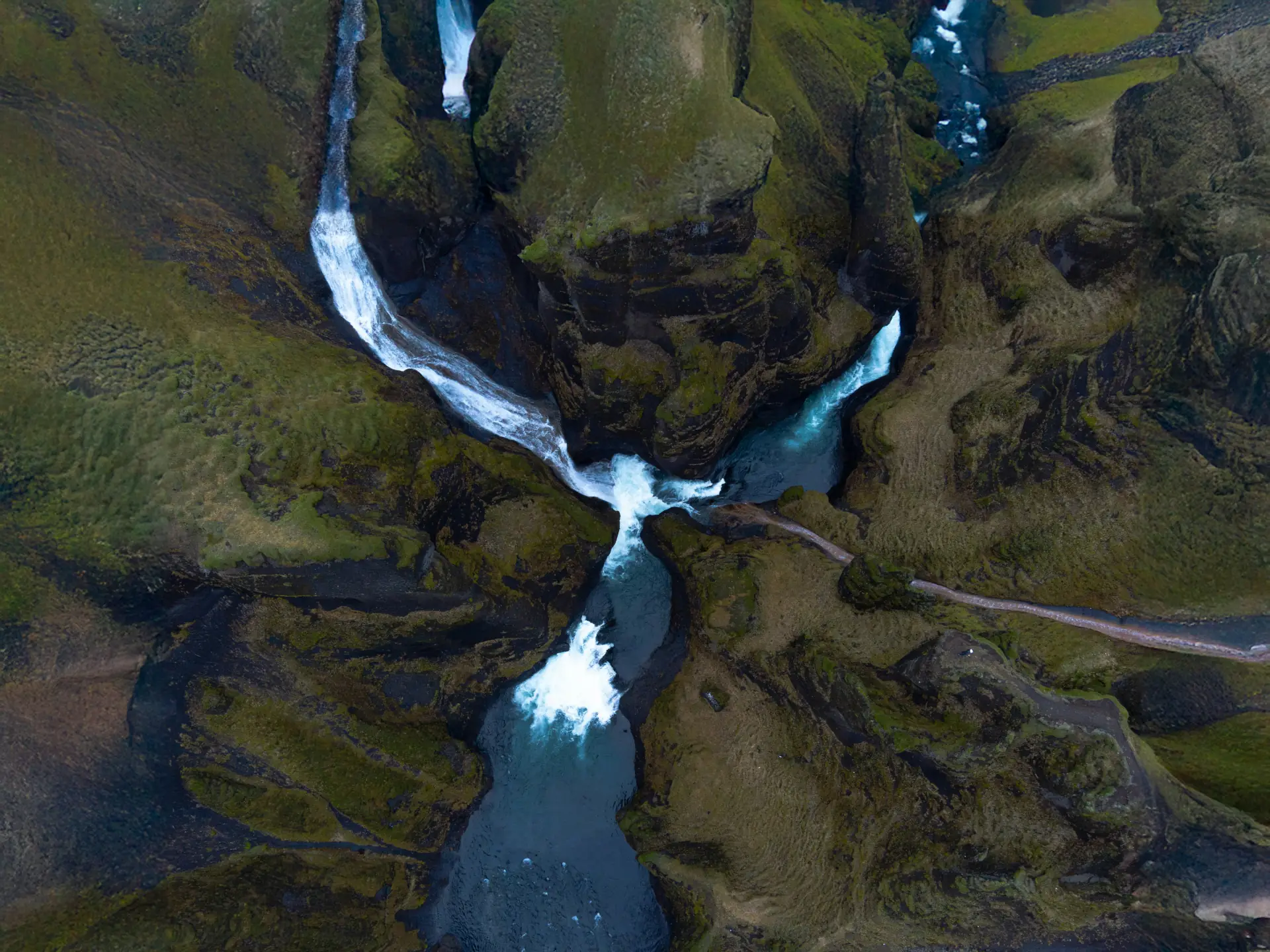 Infografik zur wissenschaftlichen Forschung rund um Immune Akut Set