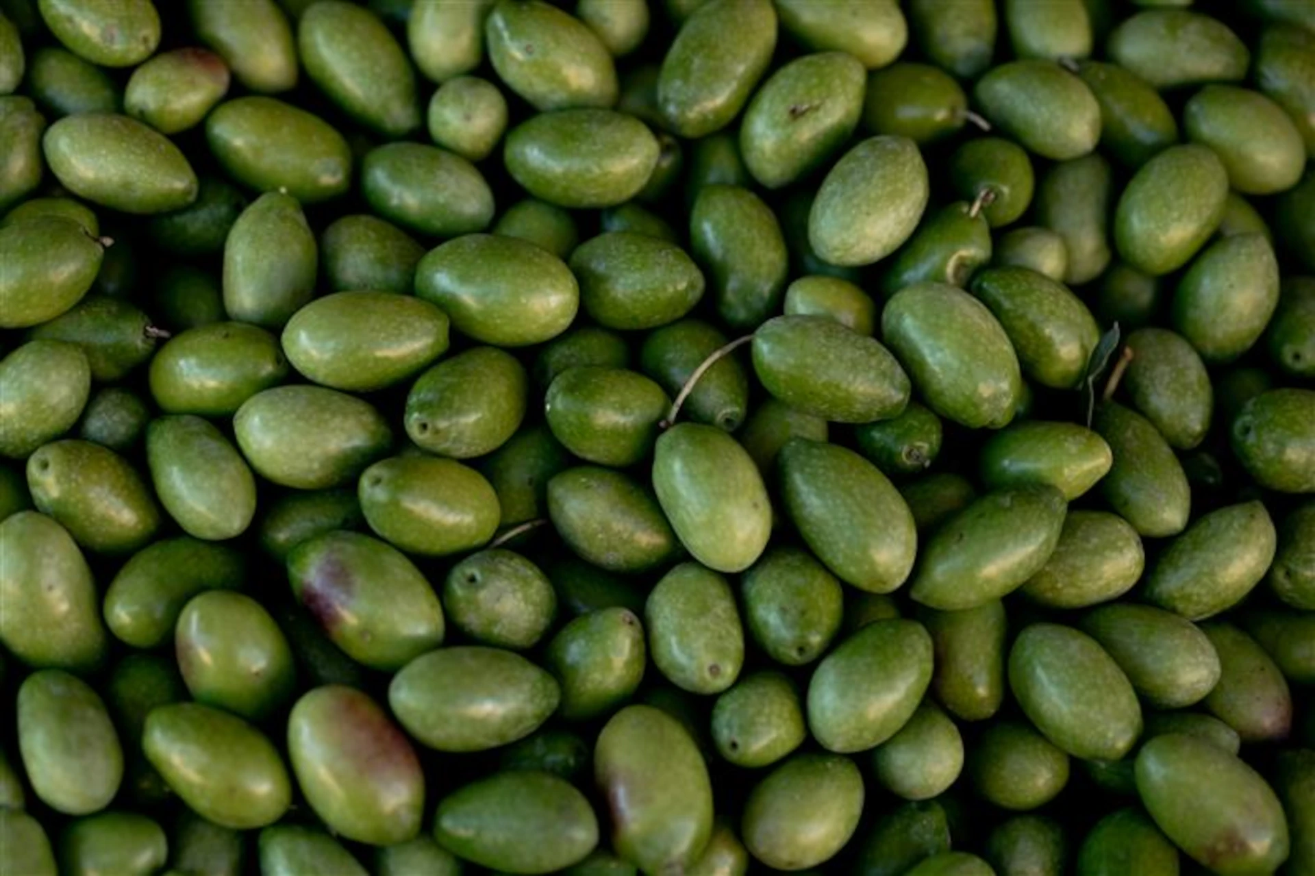 Superfoods | Ernährung