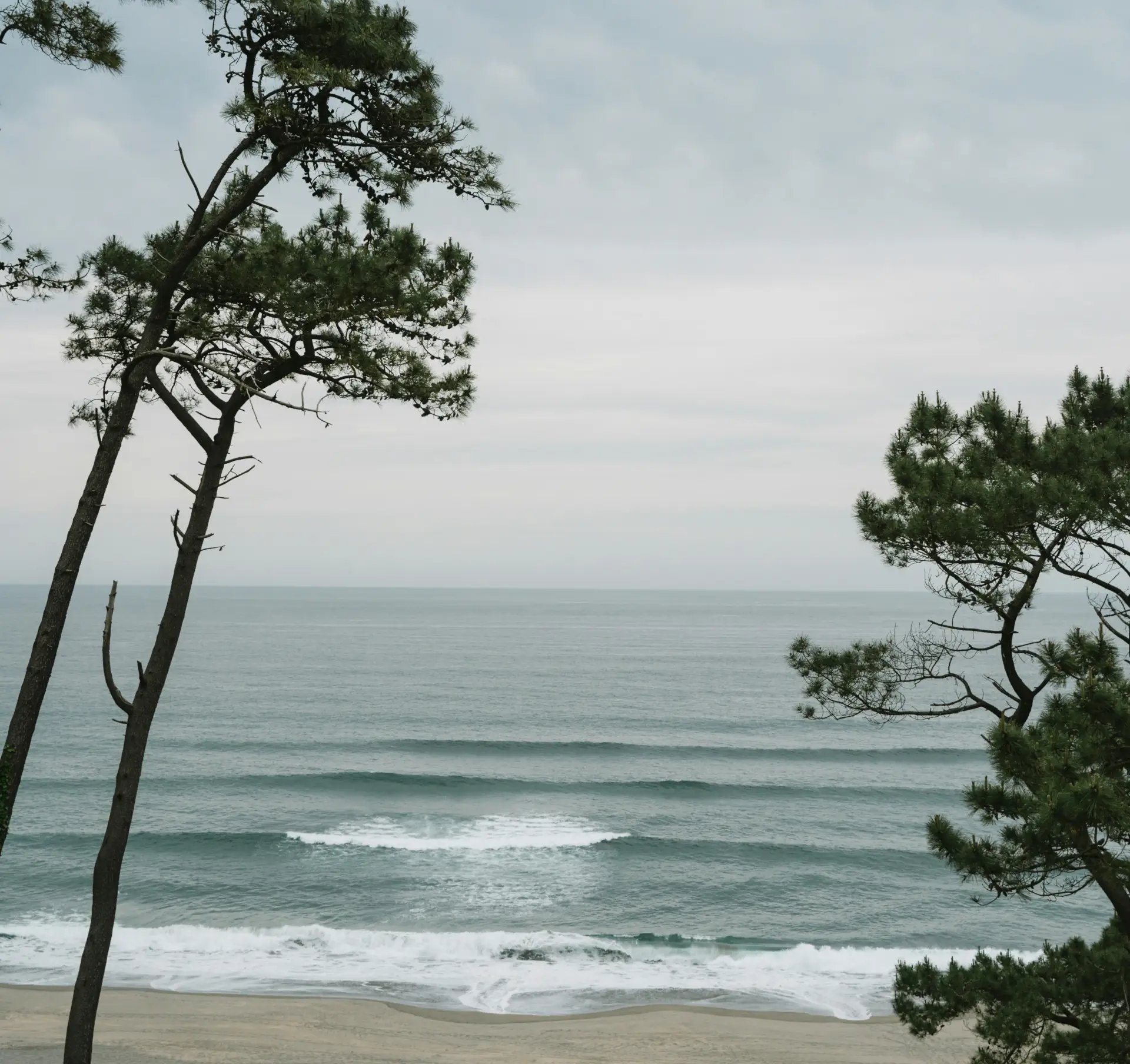 Grafik zur Funktionsweise von Collagen im Körper