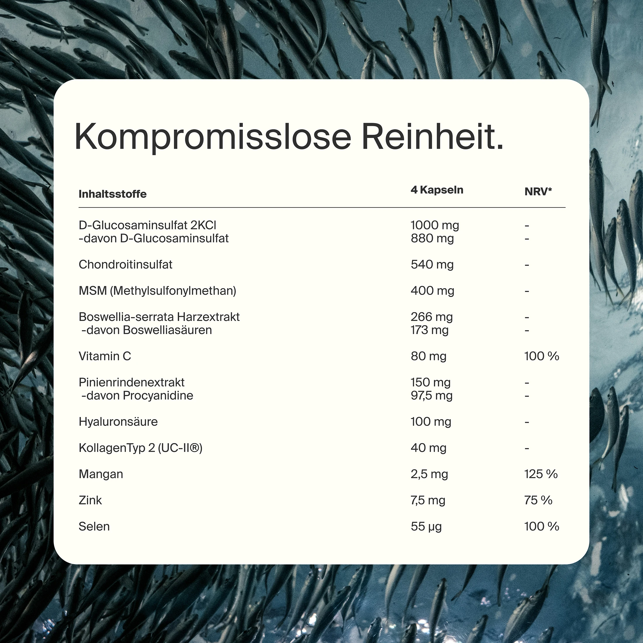 Kollagen Hydrolysat