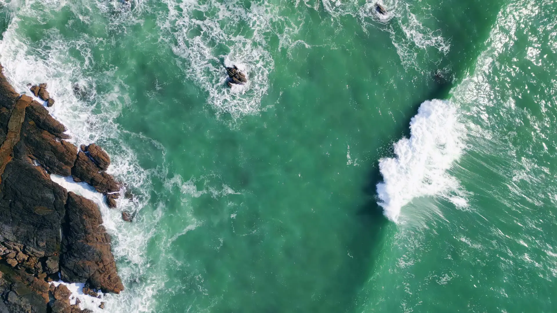 Darstellung von Omega 3 EPA 500 DHA 250 – natürliche Unterstützung für dein Immunsystem