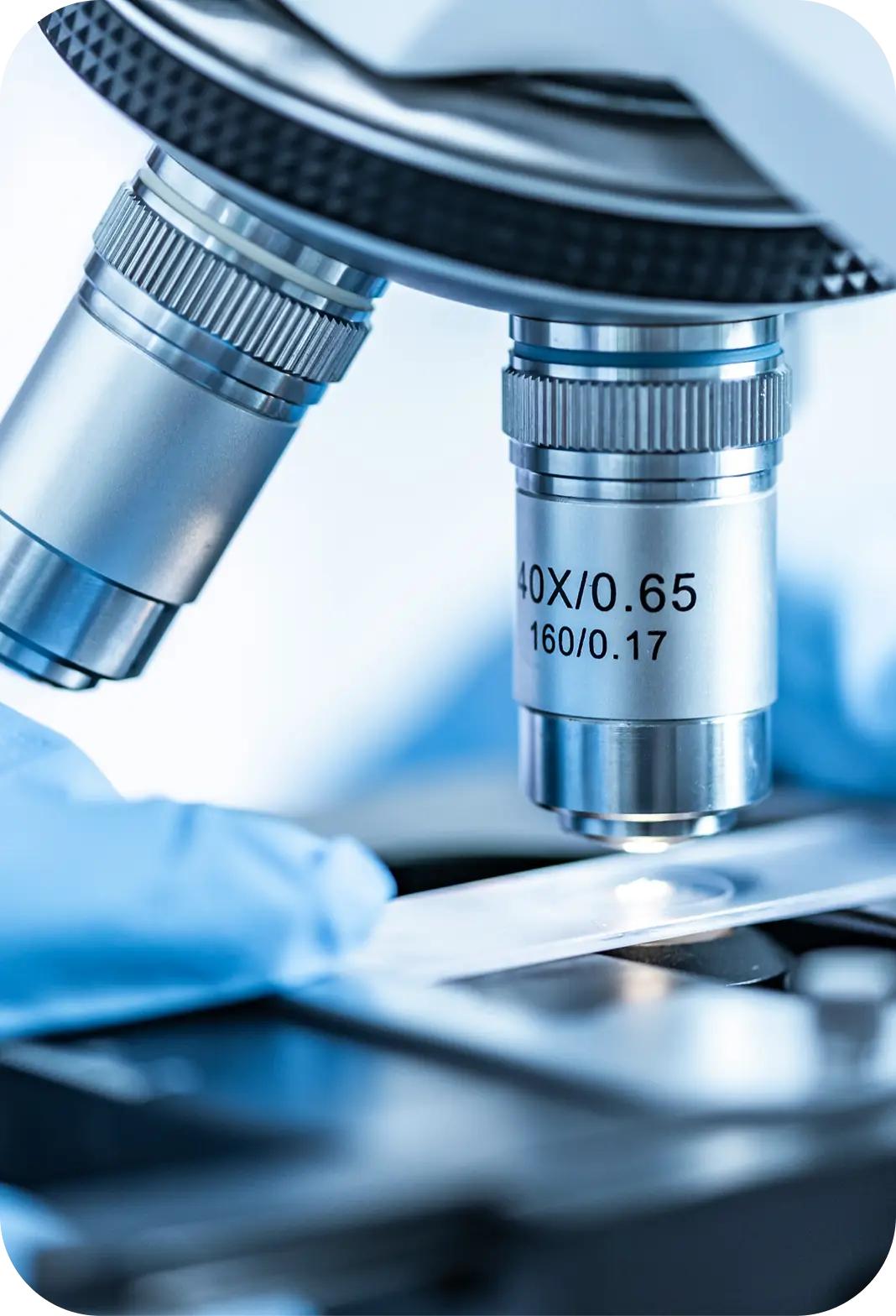 Grafik zur Funktionsweise von Aminosäuren Komplex EVAA® im Körper