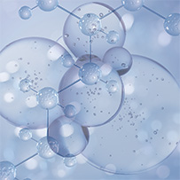 Spermidin Longevity Bild zu Langlebigkeit & Energiestoffwechsel