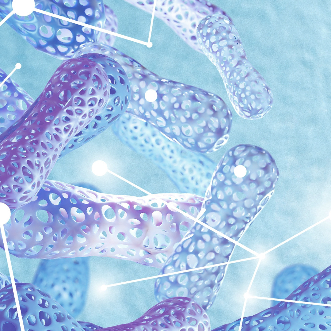Lactoferrin (60 Kapseln) Bild zu Natürlicher Eisenbinder -und Transporter