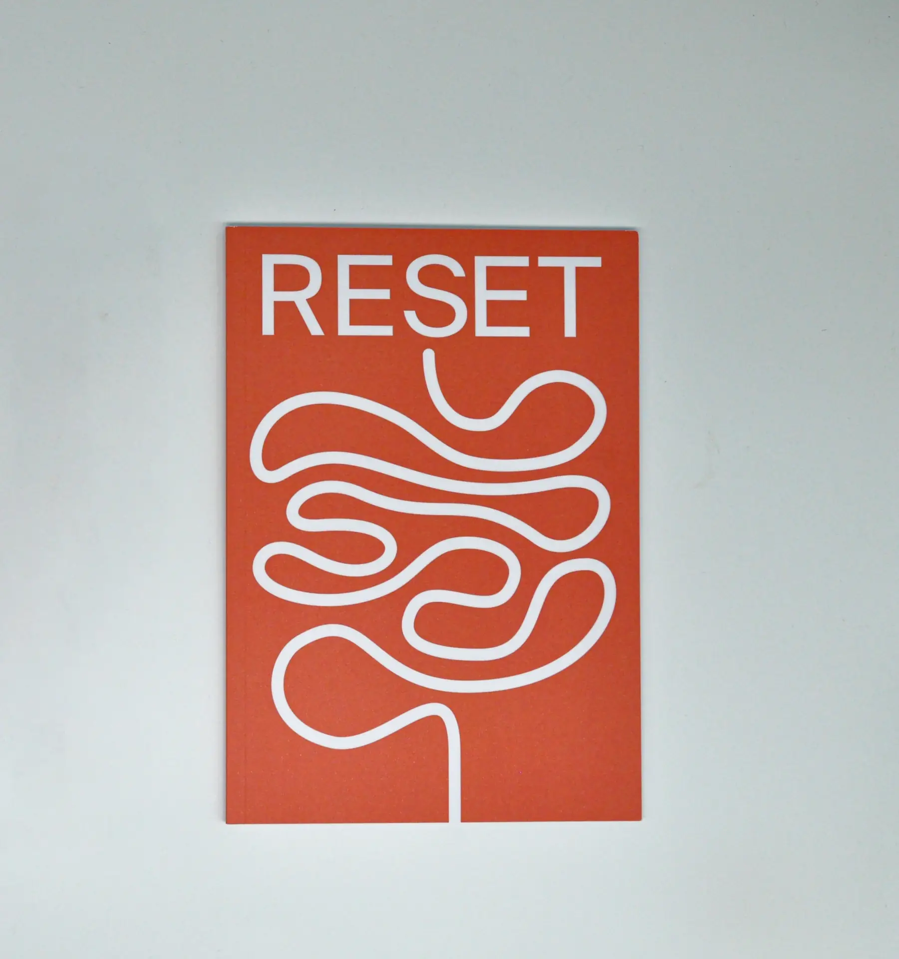 Darmkur Reset Bild zu RESET-Broschüre als Leitfaden