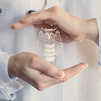 Schilddrüsen Komplex Bild zu Unterstützung der Schilddrüse