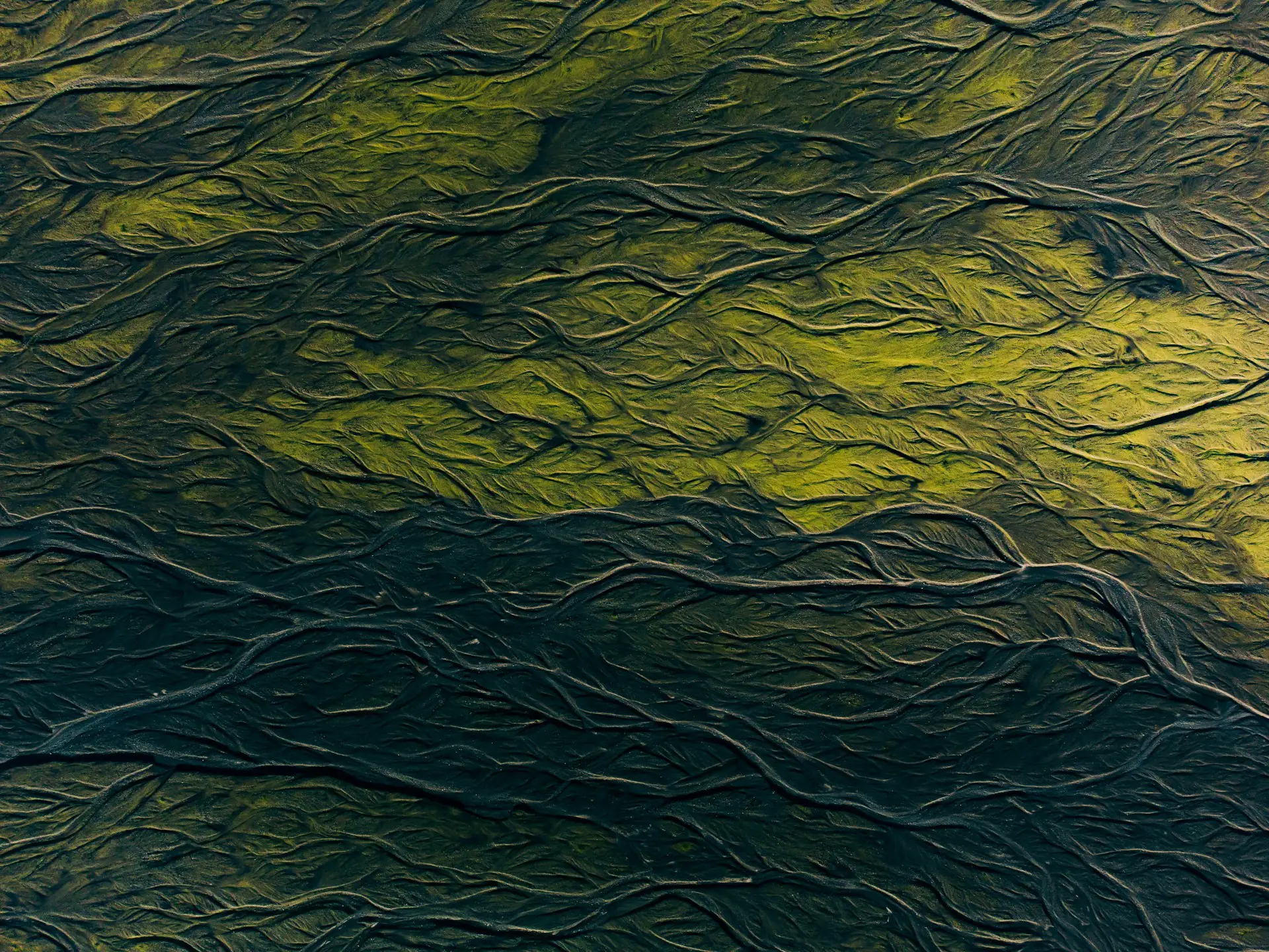 veganer lebensstil b12 nerven ag