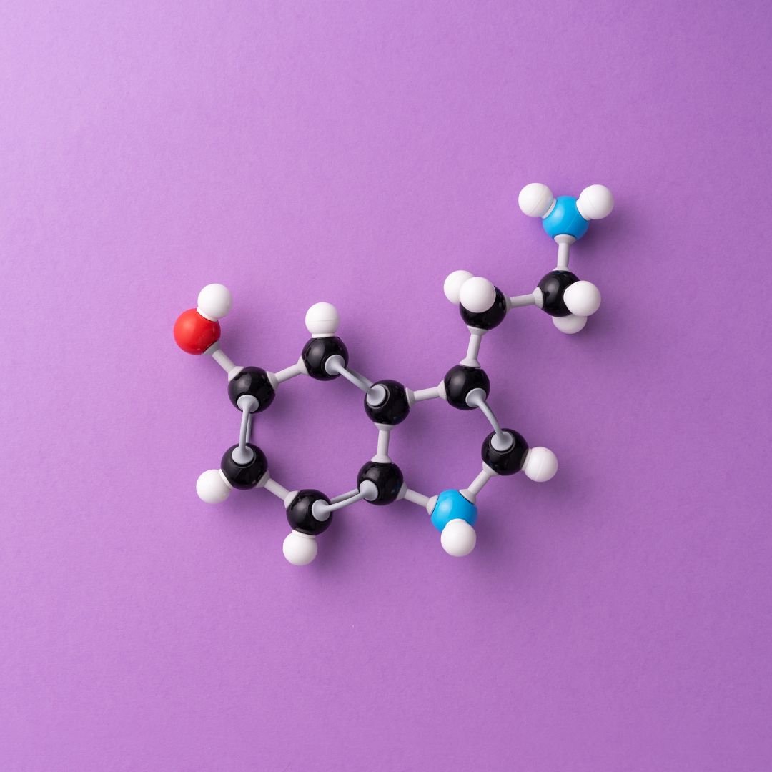 Regeneration Set Bild zu Natürliche Synergieformel