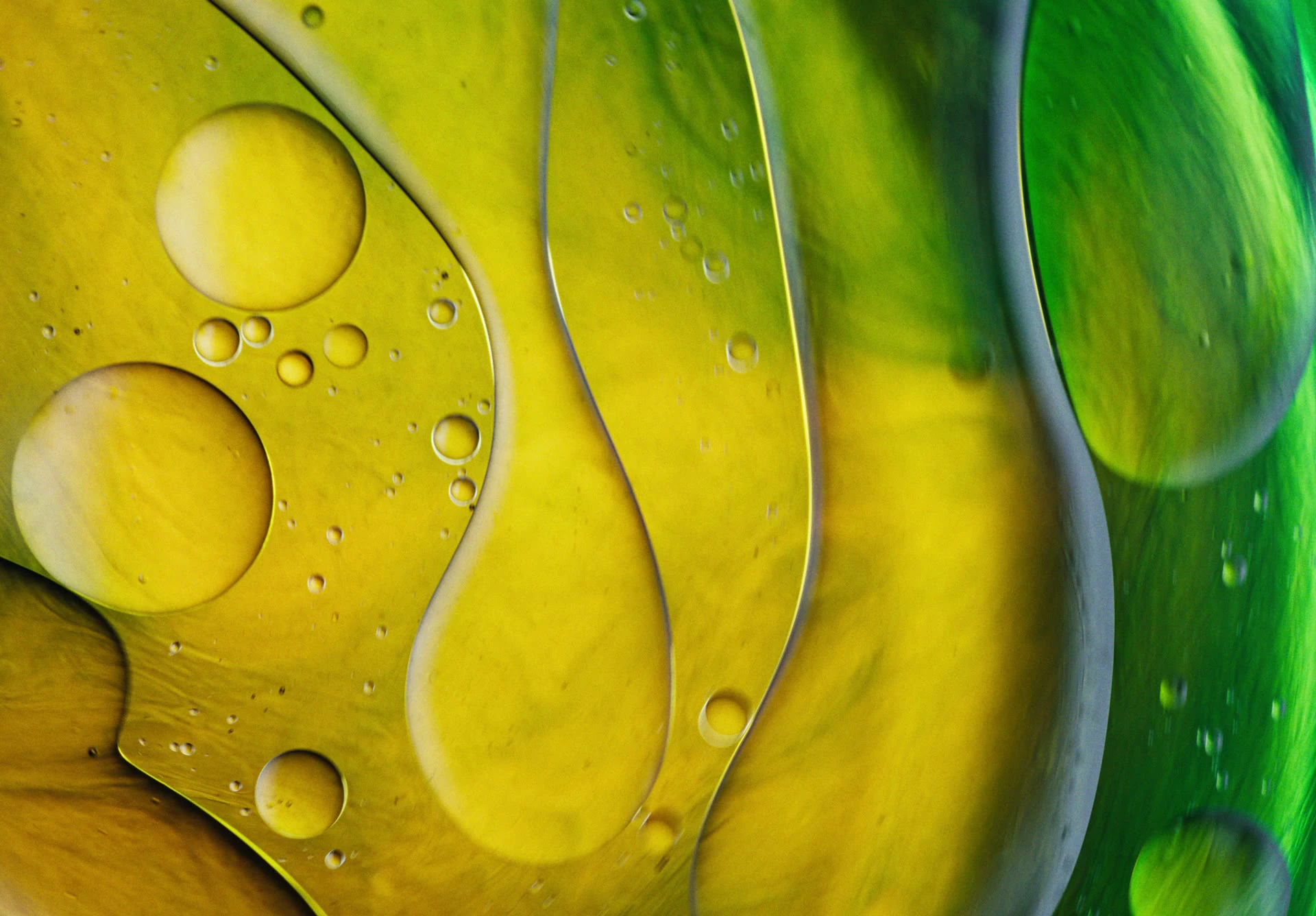 Darstellung von Leber Komplex OPC – natürliche Unterstützung für dein Immunsystem