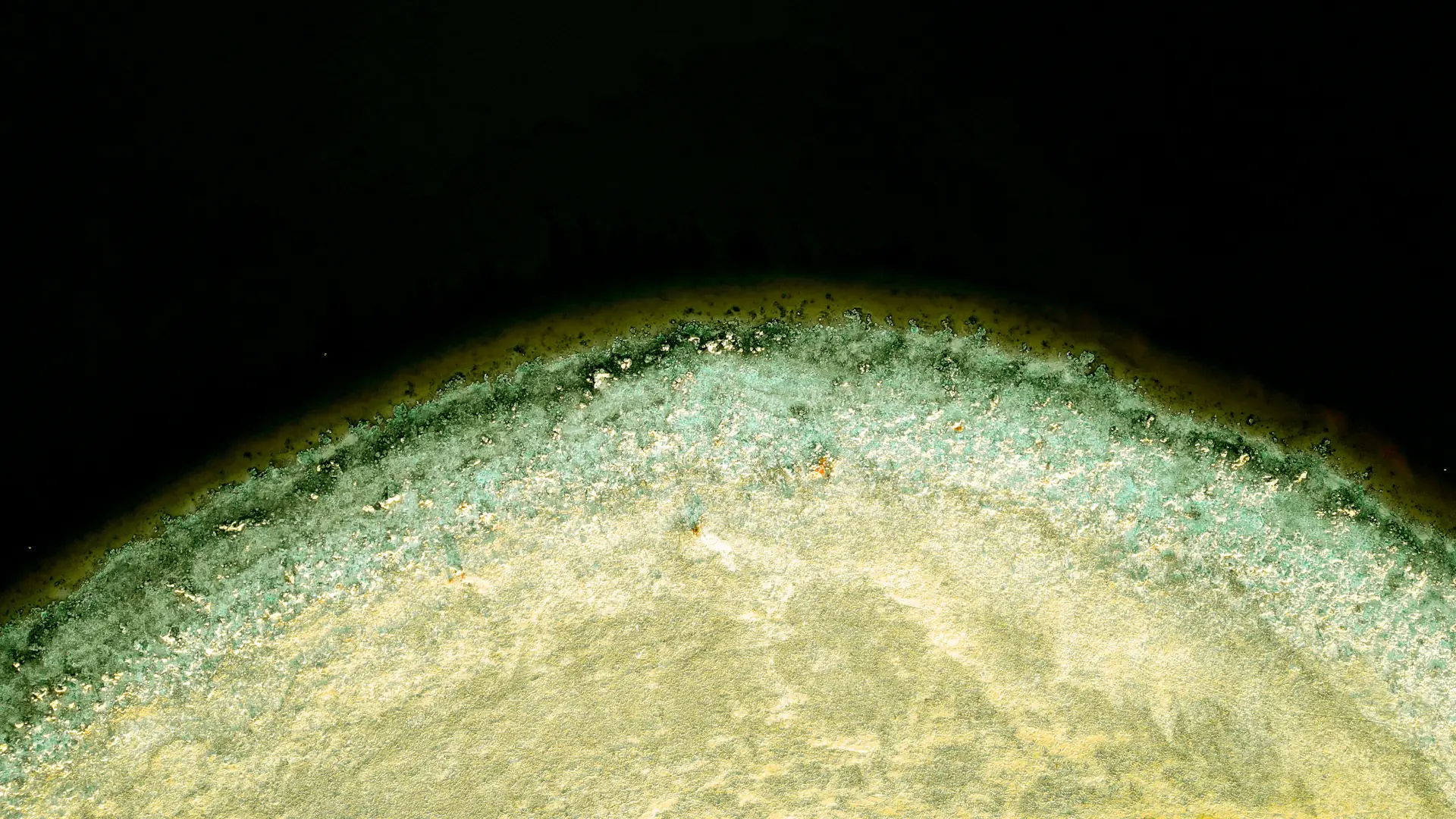 Lactoferrin Immun+ Sticks Bild zu Schutz der Zellen vor oxidativem Stress³