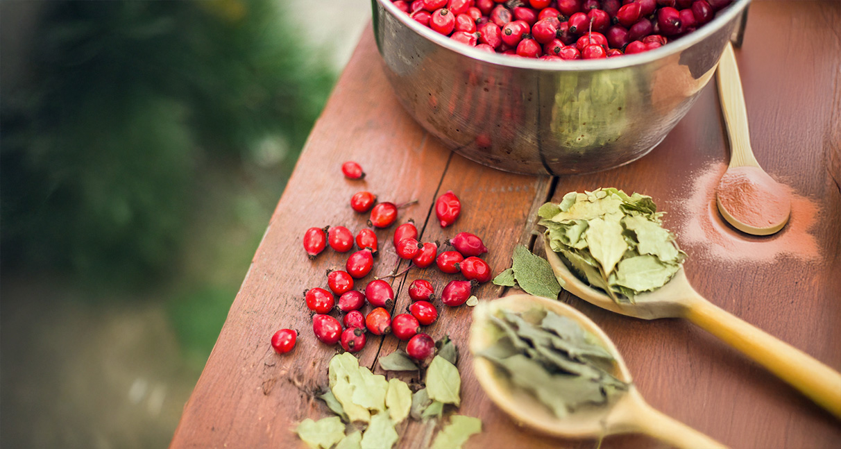 Übersicht der Inhaltsstoffe von Natural Iron – natürlich & rein