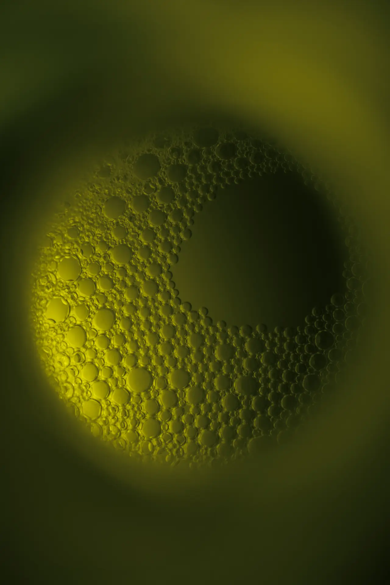 Astaxanthin 8 mg Bild zu Antioxidative Kraft