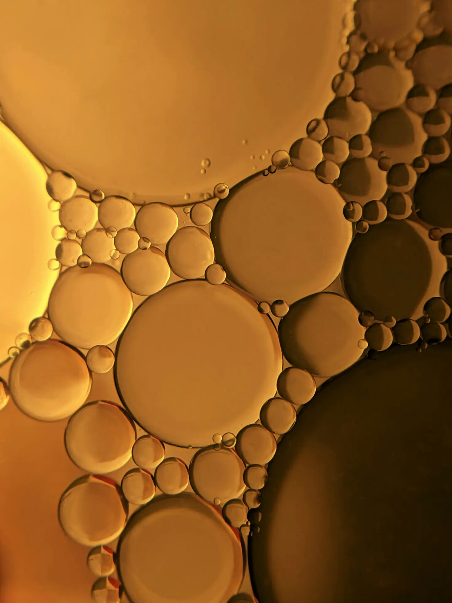 Vitamin D3 + K1 + K2 1.000 I.E. Bild zu Vitamin-D3 + K1 + K2 Kombination