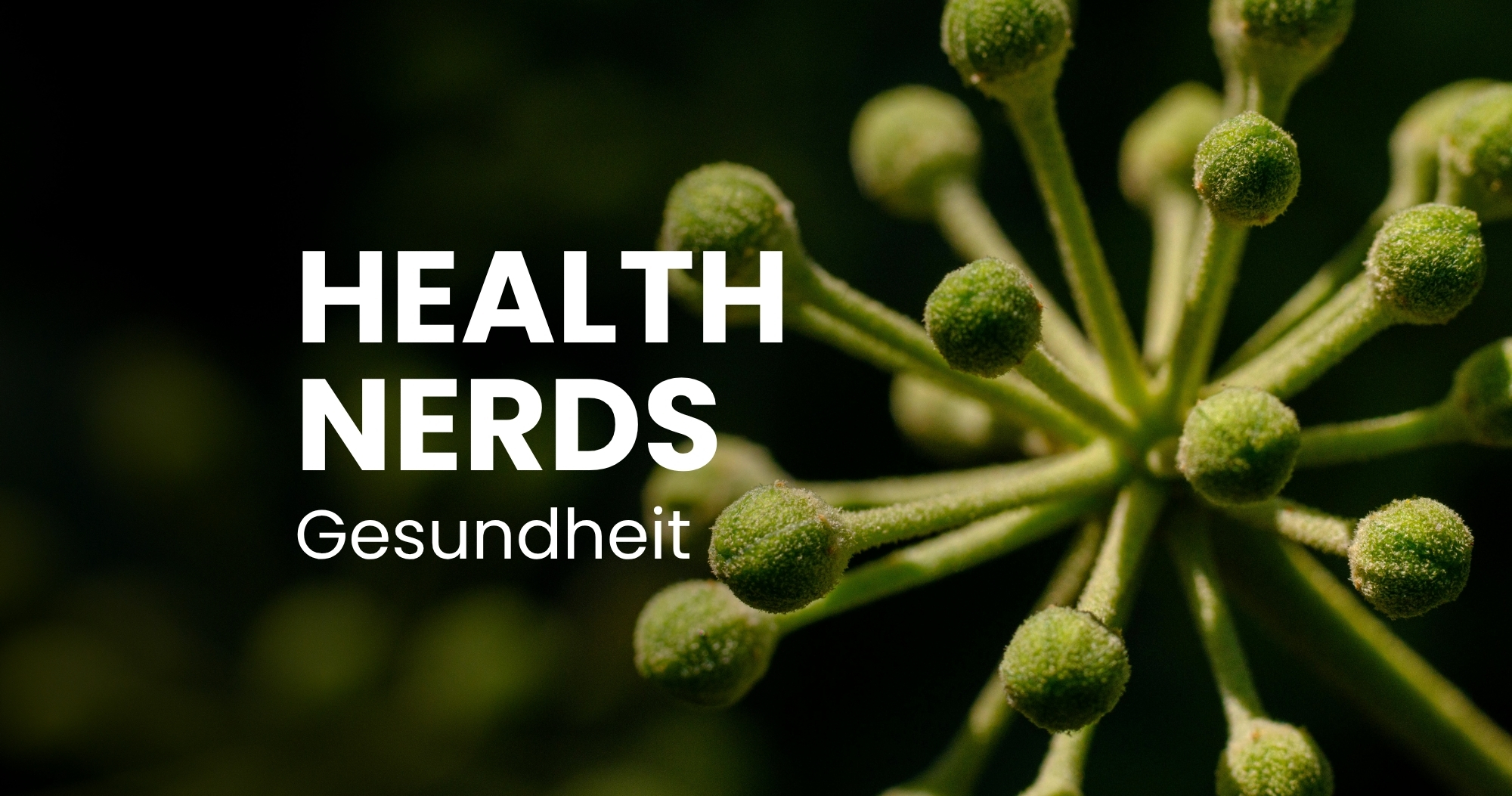 Gesundheitspodcast: Mikrobiom & Gesundheit - Bakterien, Viren, Pilze im Körper