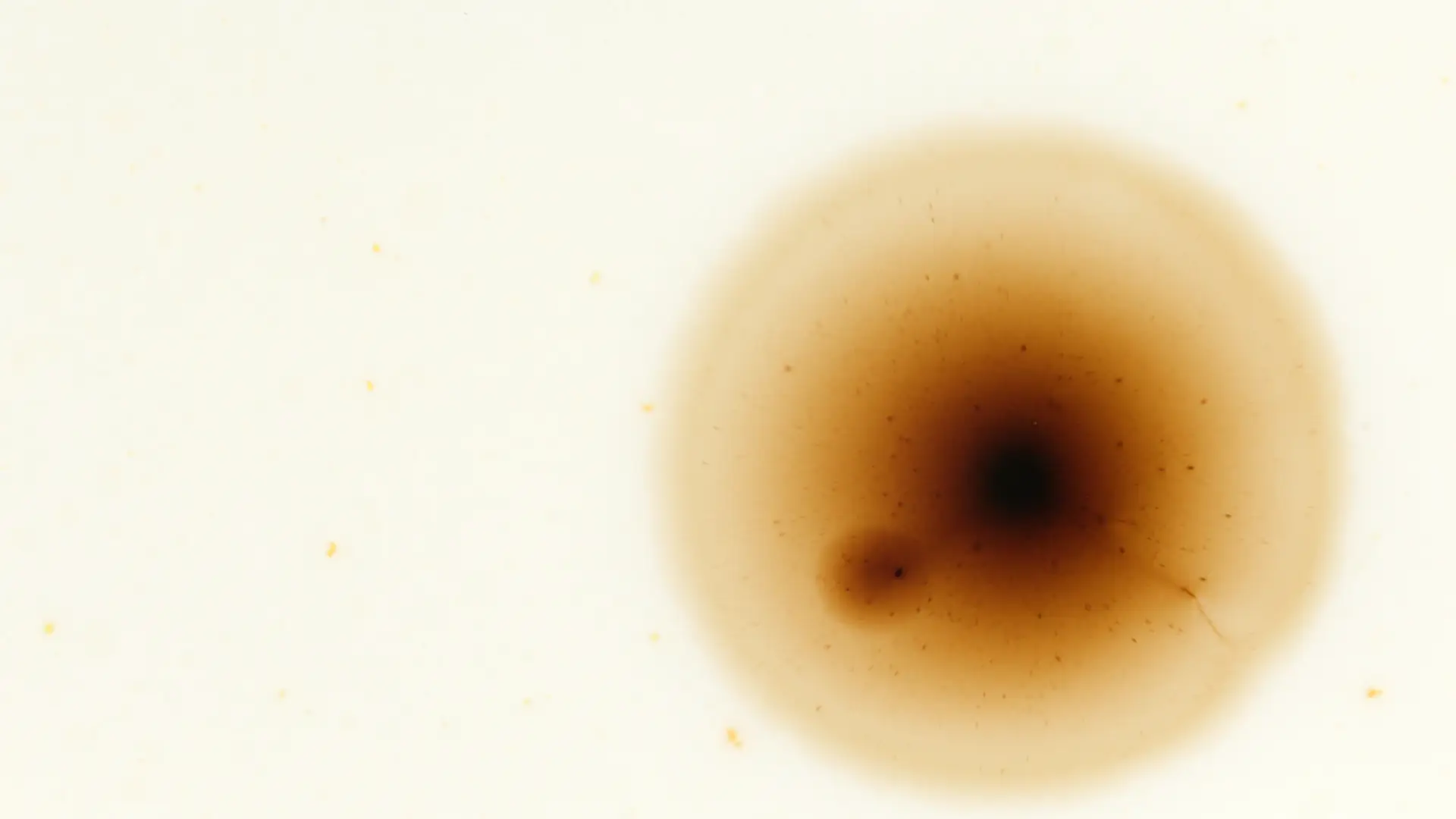 Darstellung von Magnesium, organisch – natürliche Unterstützung für dein Immunsystem