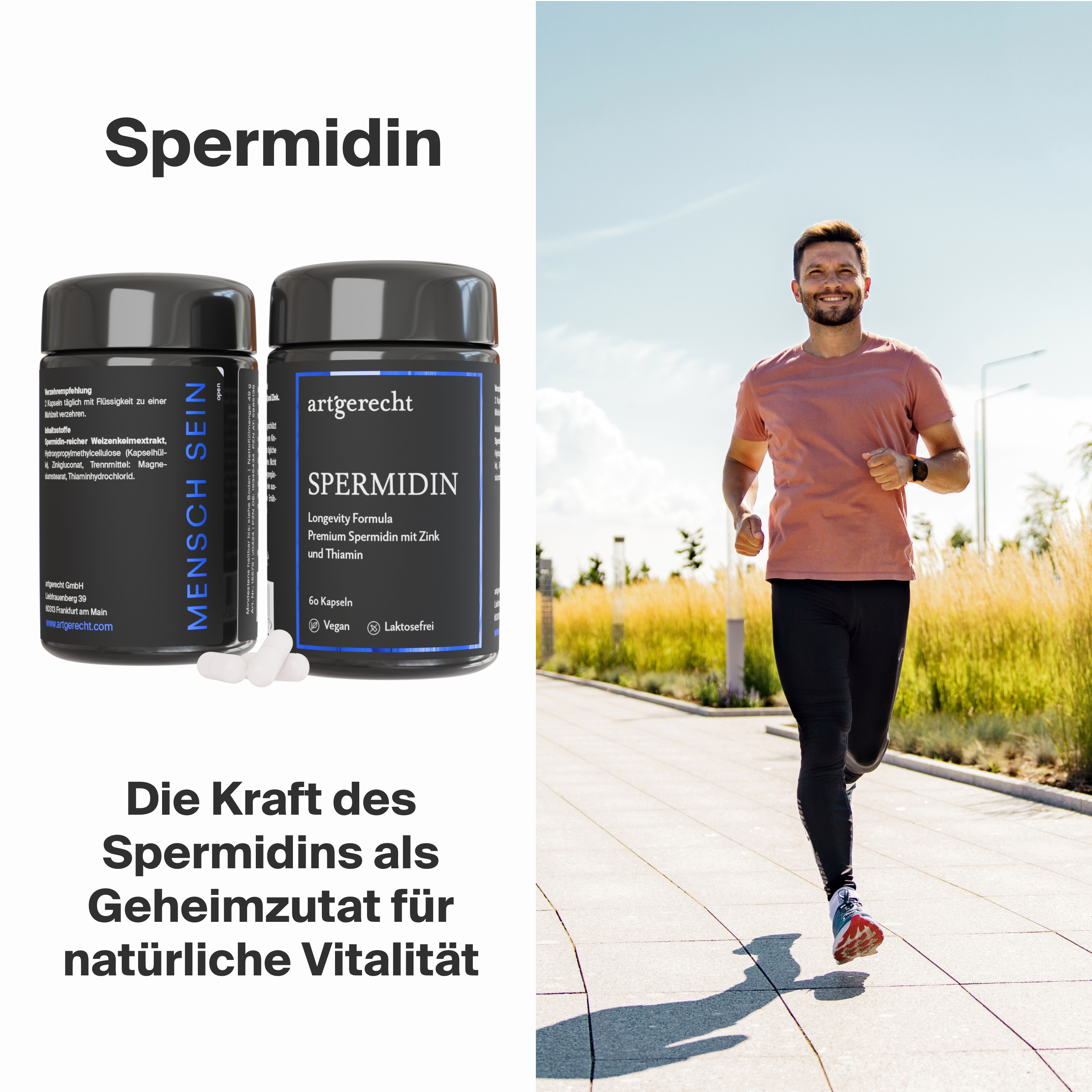 Spermidin Longevity