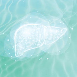 Metabolism Set Bild zu Liver Health