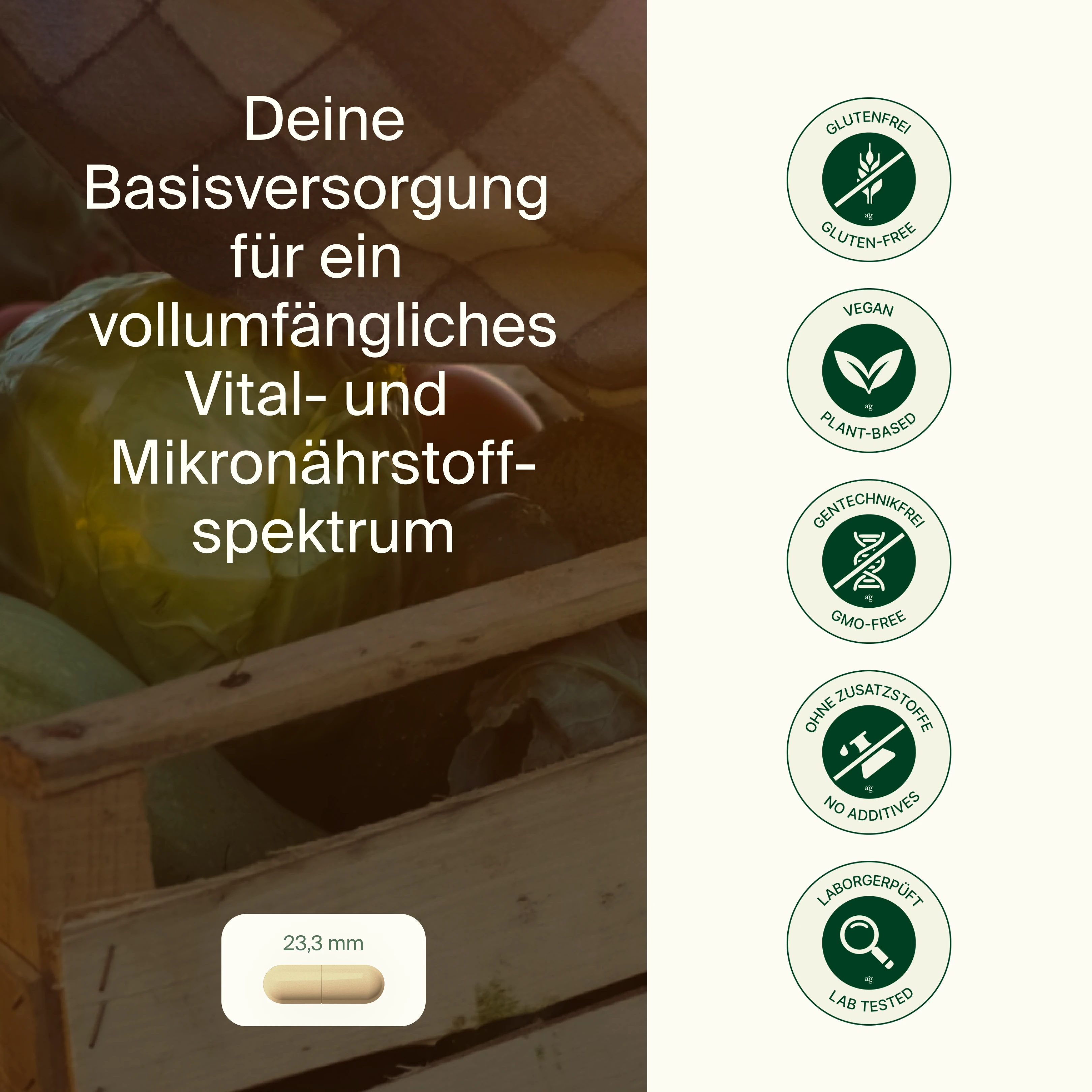 Multivitamin Mineral Complex