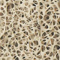 Osole Vitamin D3 + K1 + K2 Bild zu Stärkt Zähne, Knochen und Immunsystem¹