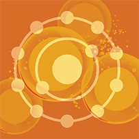 Curcumin Vital Bild zu 100% rein natürliche Pflanzenextrakte