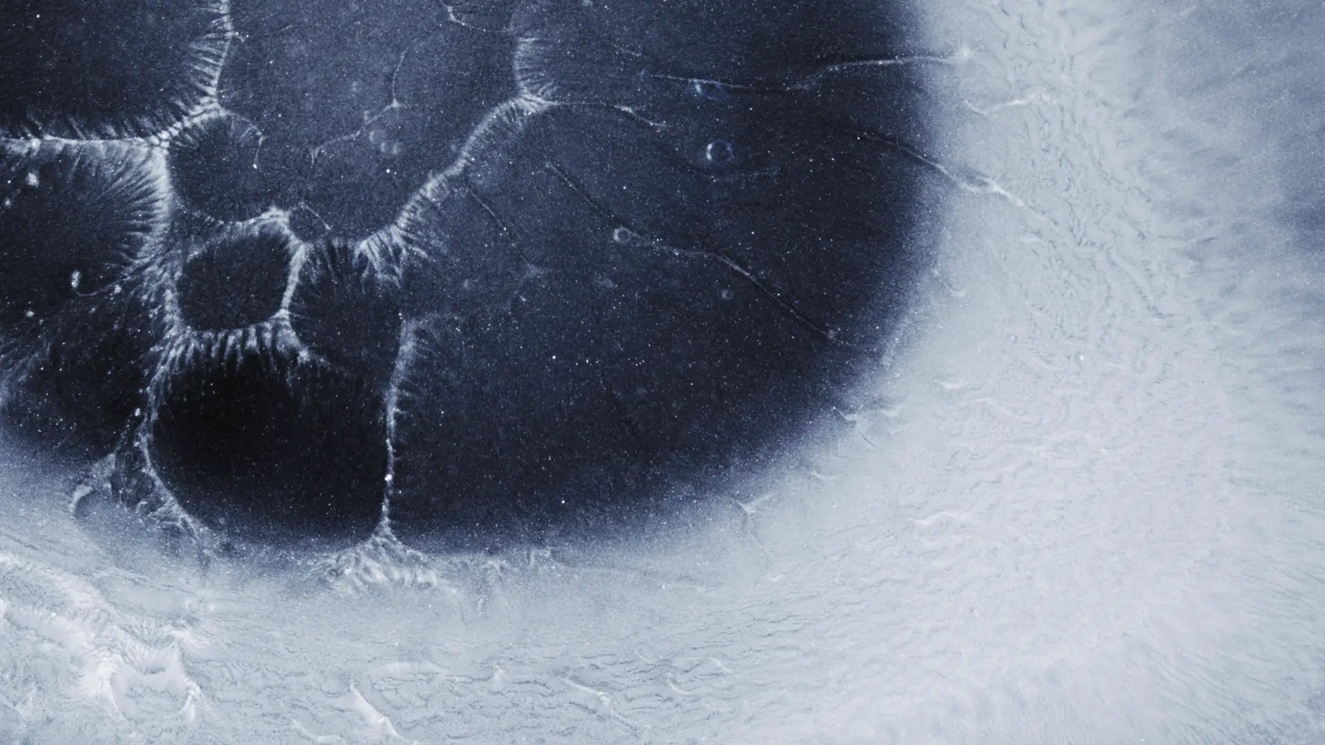 Darstellung von Lactoferrin CLN® 400 mg – natürliche Unterstützung für dein Immunsystem