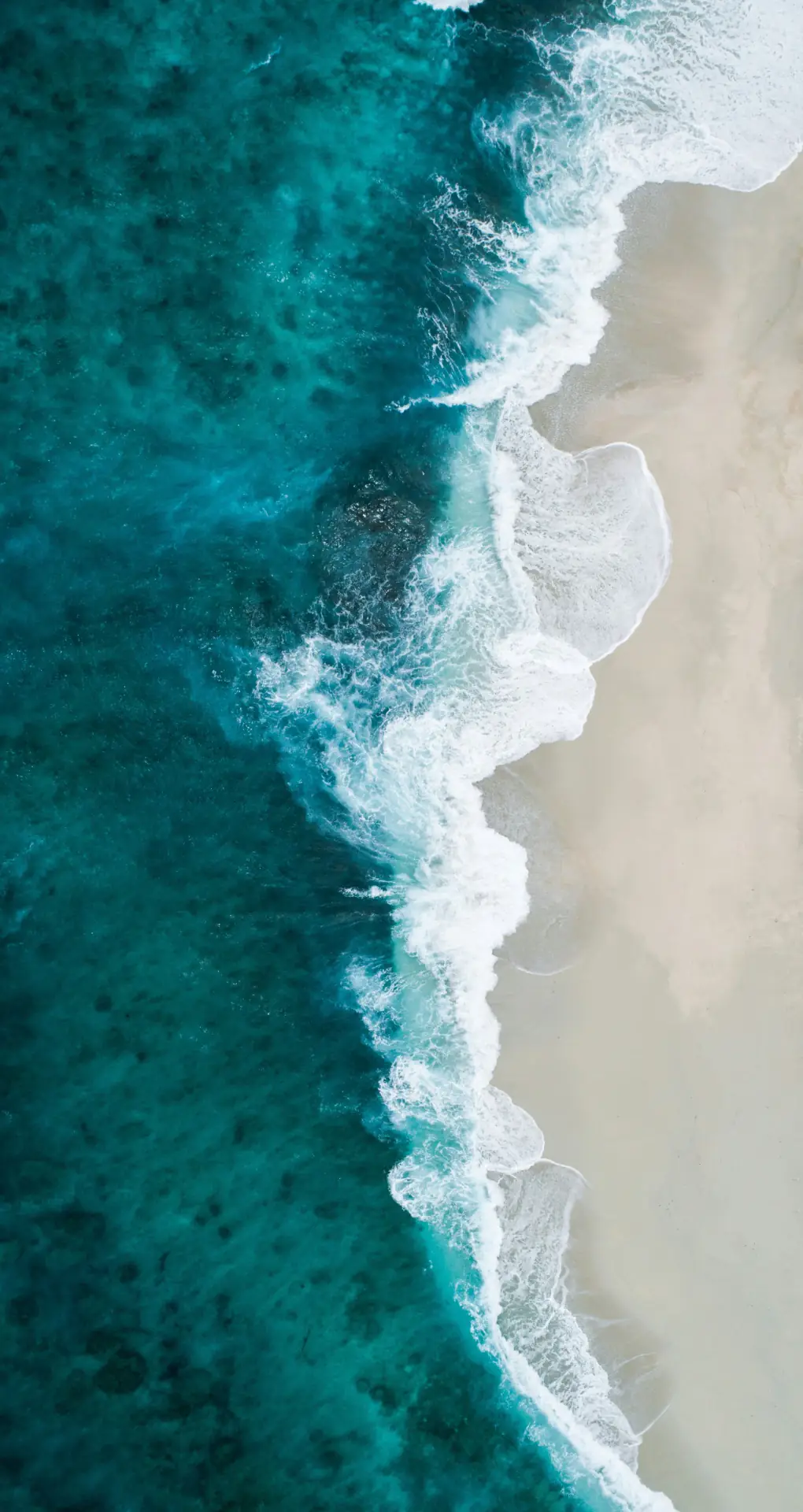 aminosauren regeneration