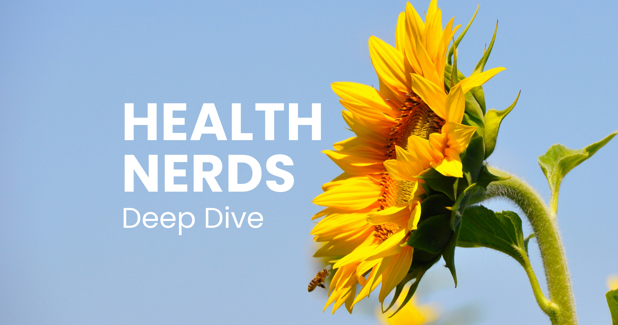 Deep Dive Podcast: Vitamin B1 - Der Motor unseres Energiestoffwechsels