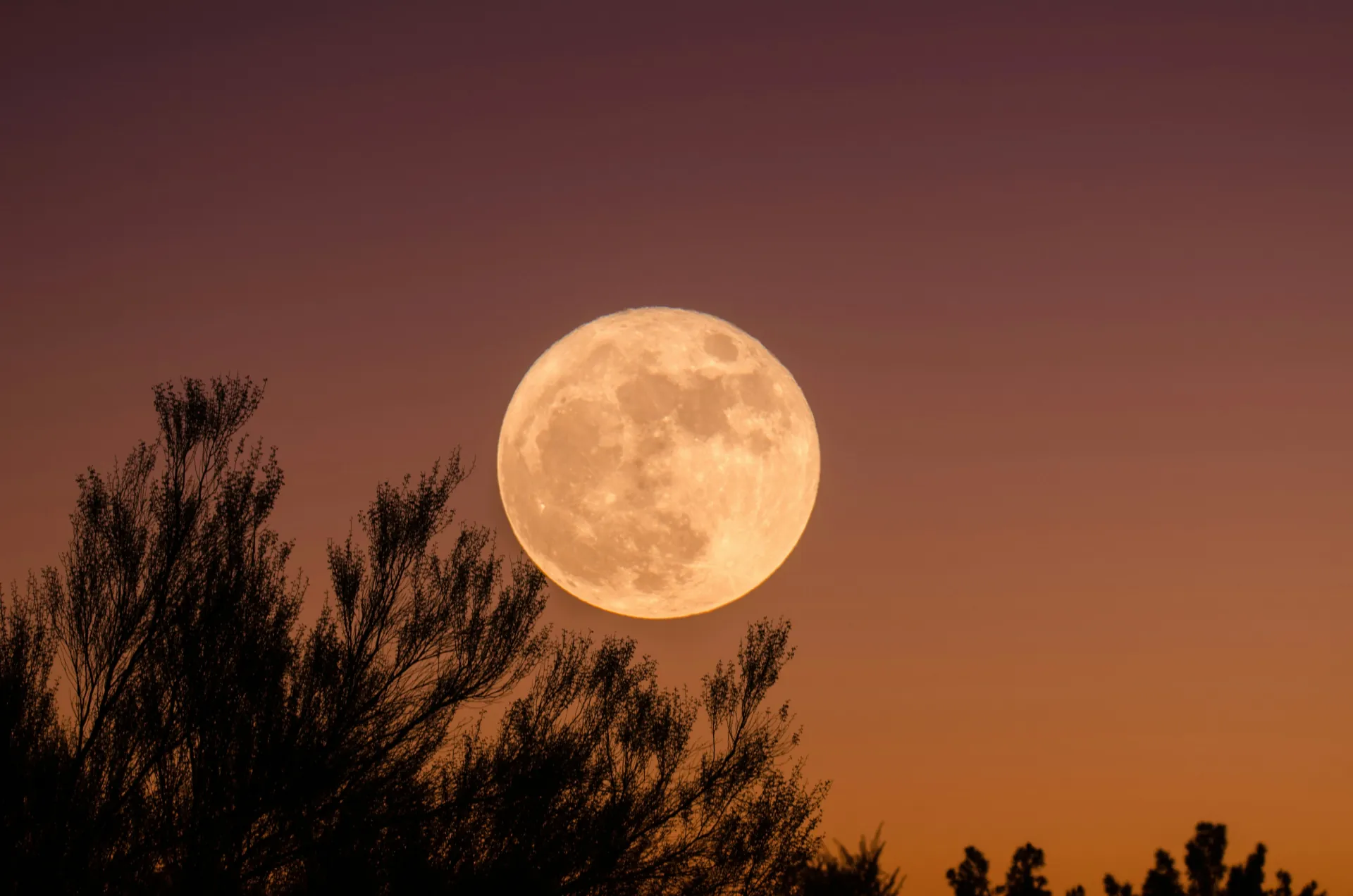Vollmond im Mai 2026: Wie der Blumenmond Deinen Schlaf wirklich beeinflusst