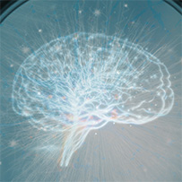 Zink Komplex 25 mg Bild zu Reguliert den Testosteronspiegel ⁶