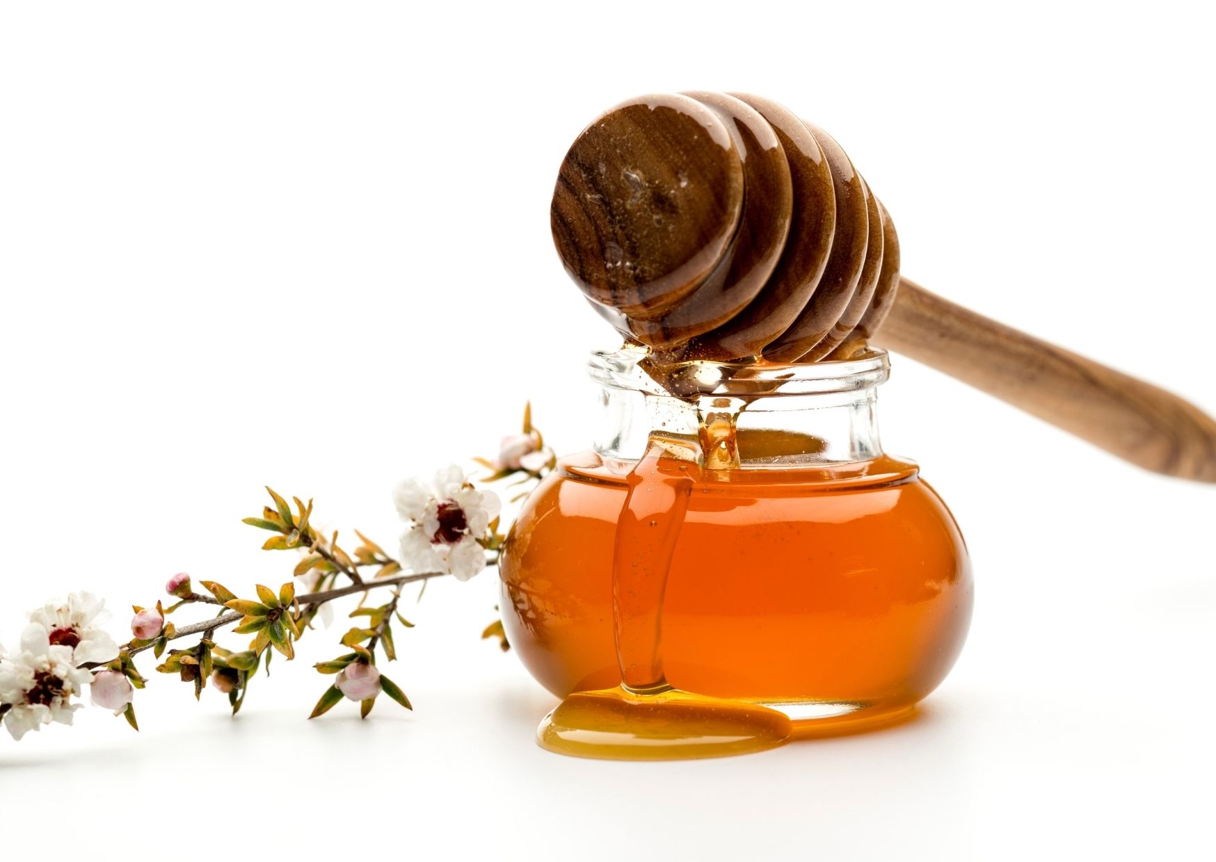 Manuka-Honig – Wirkung, Anwendung & MGO erklärt