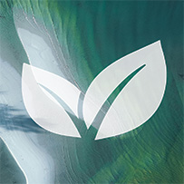 Amin (Sticks) Bild zu Vegan, lactose- und glutenfrei