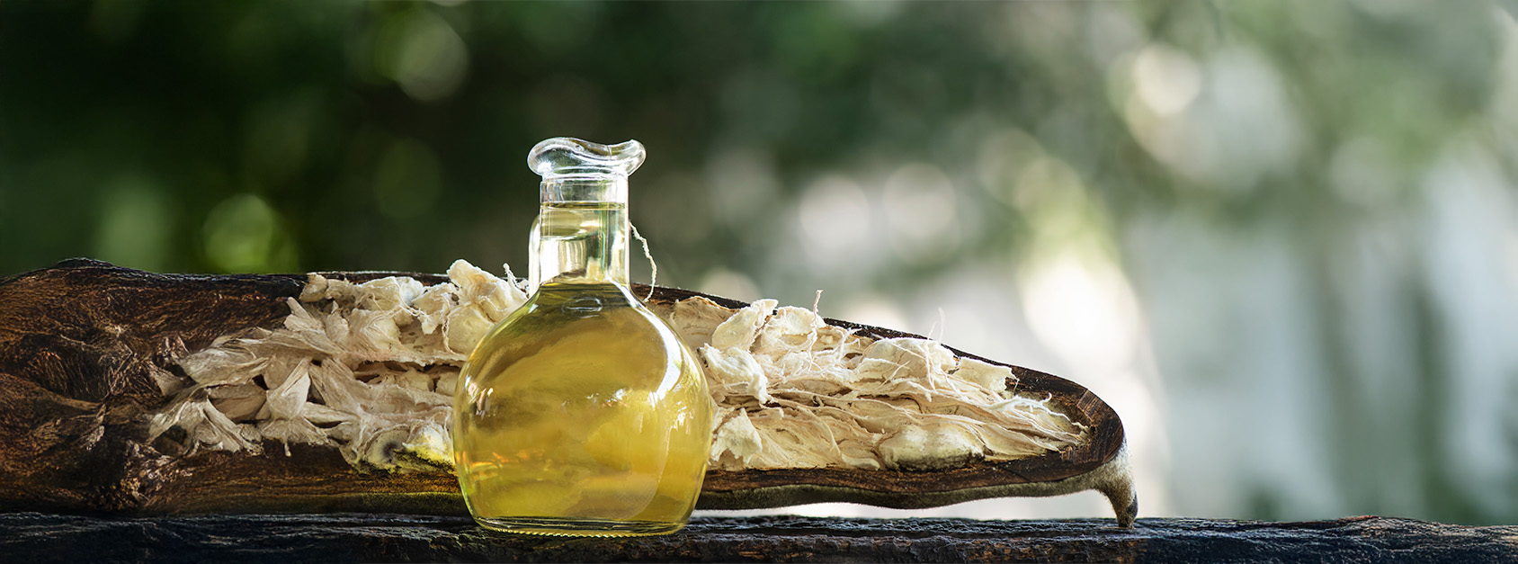 Übersicht der Inhaltsstoffe von Protect – natürlich & rein