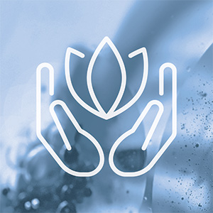 Metabolism Set Bild zu Holistic Approach