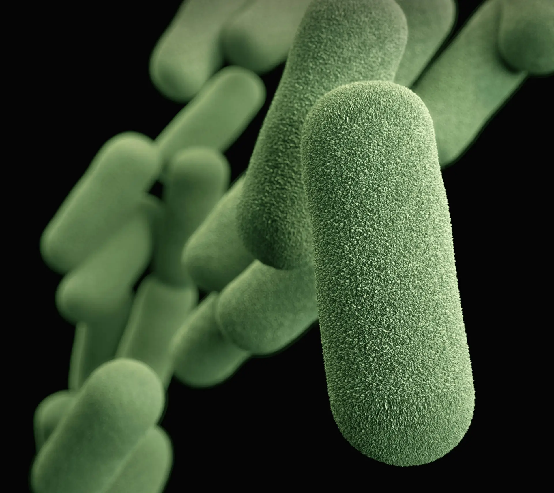 Biotic | Premium Mikroorganismen Bild zu Vielfältige Mikroorganismen