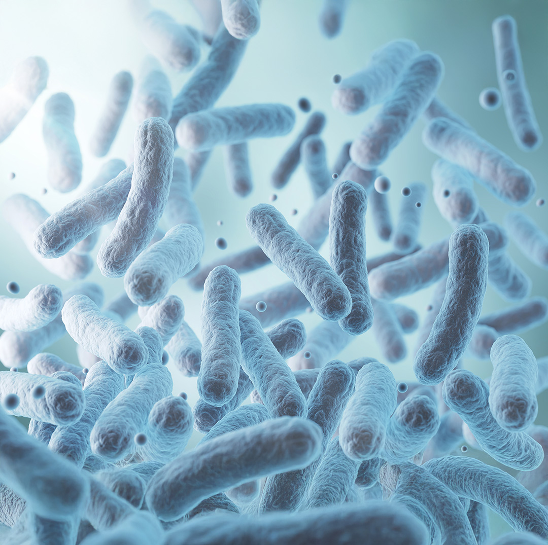 Darstellung von Biotic – natürliche Unterstützung für dein Immunsystem