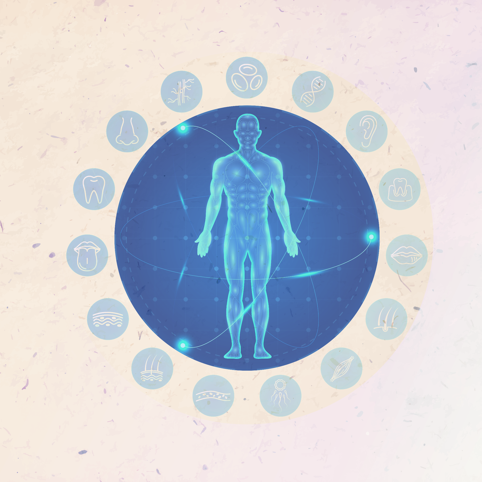 Produktbild von Werde Wieder Mensch von artgerecht – hochwertige Qualität