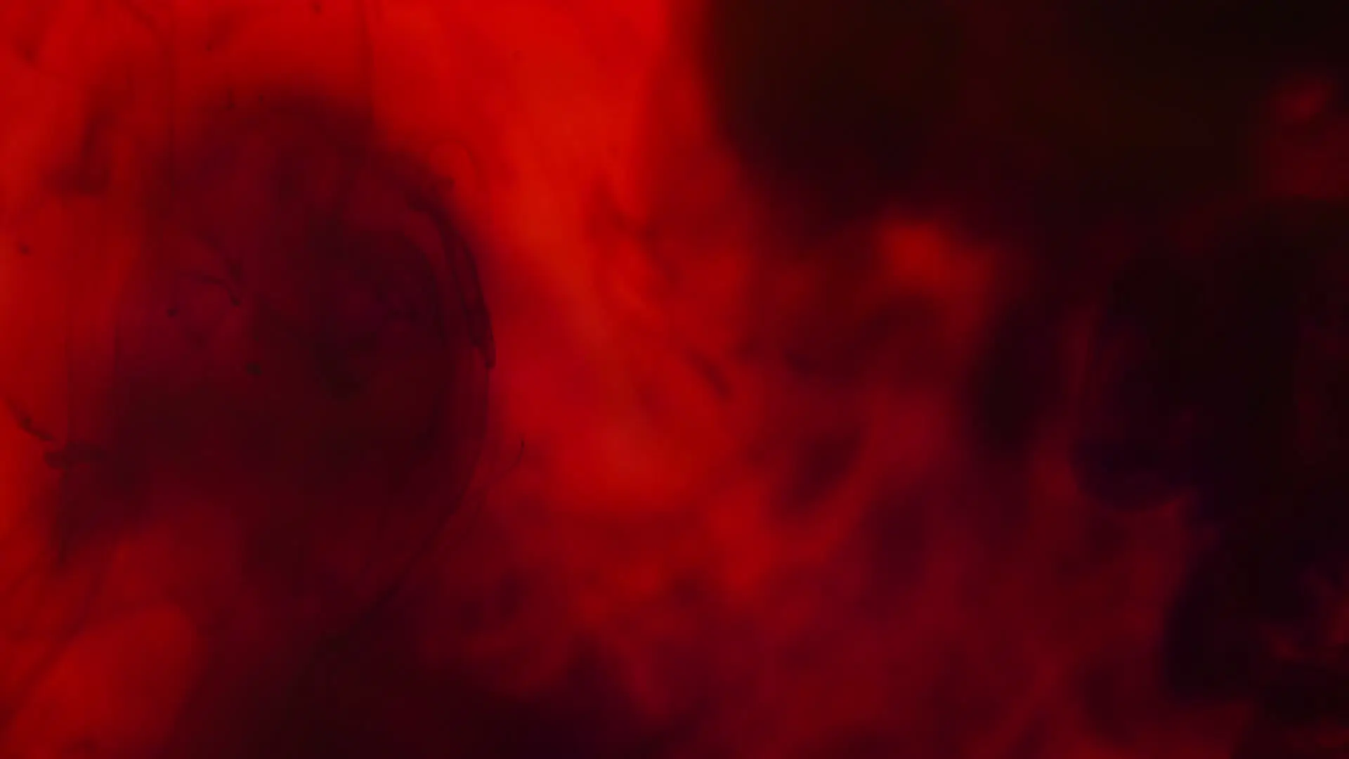 Infografik zur wissenschaftlichen Forschung rund um Berberin Blutzucker Komplex