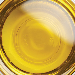 Phenolio Olivenöl (Bio) Bild zu Bio-Qualität