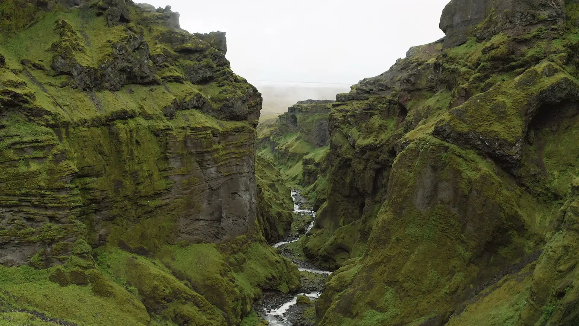 Darstellung von Schilddrüsen L-Tyrosin Komplex – natürliche Unterstützung für dein Immunsystem