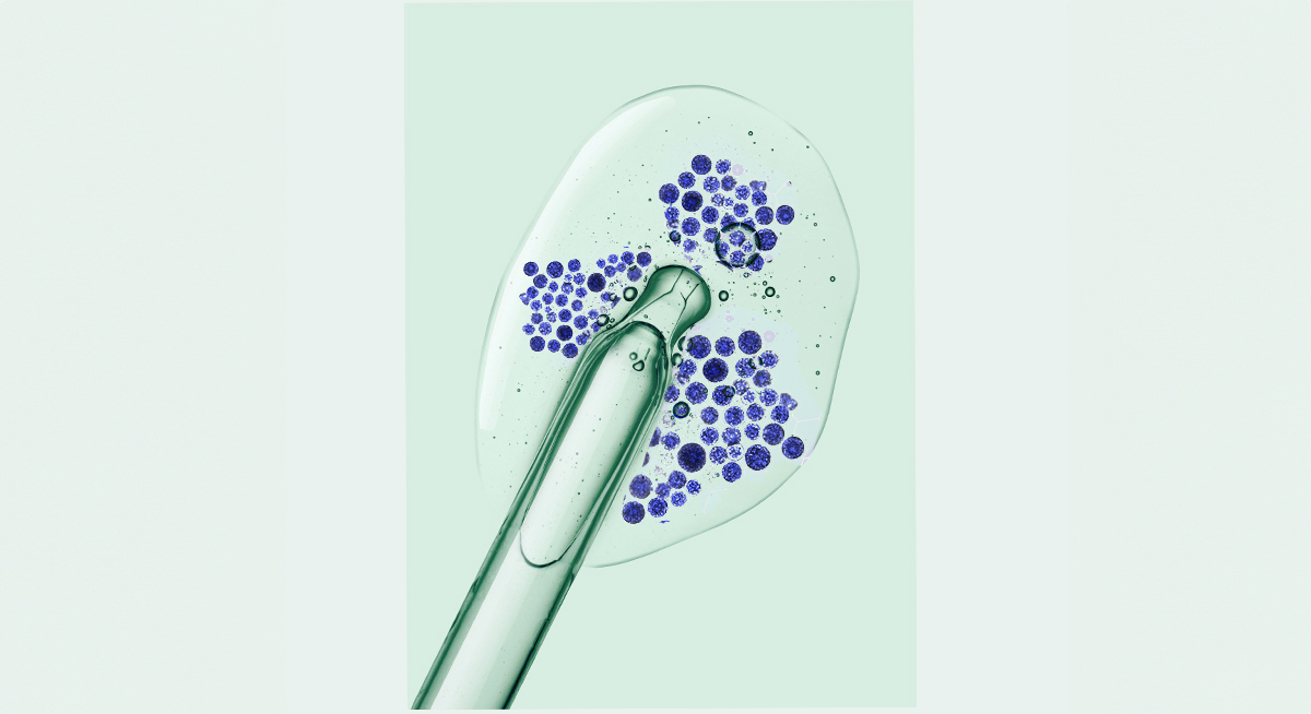 Infografik zur wissenschaftlichen Forschung rund um Biotic