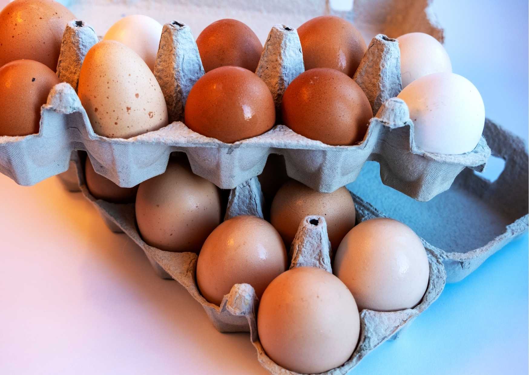 Cholin – Der unterschätzte Nährstoff für Gehirn, Leber & mehr