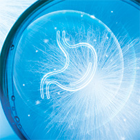 Zink Komplex 25 mg Bild zu 100% organisch: Magenschonend