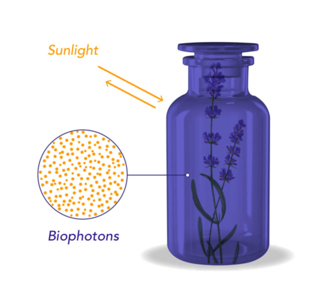 artgerecht MIRON UV SCHUTZ GLAS