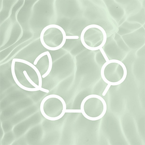 Kollagen Bild zu Nachhaltige Herkunft