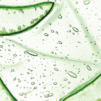 Omega 3 Vegan High EPA Bild zu PlantGel™ Kapseln