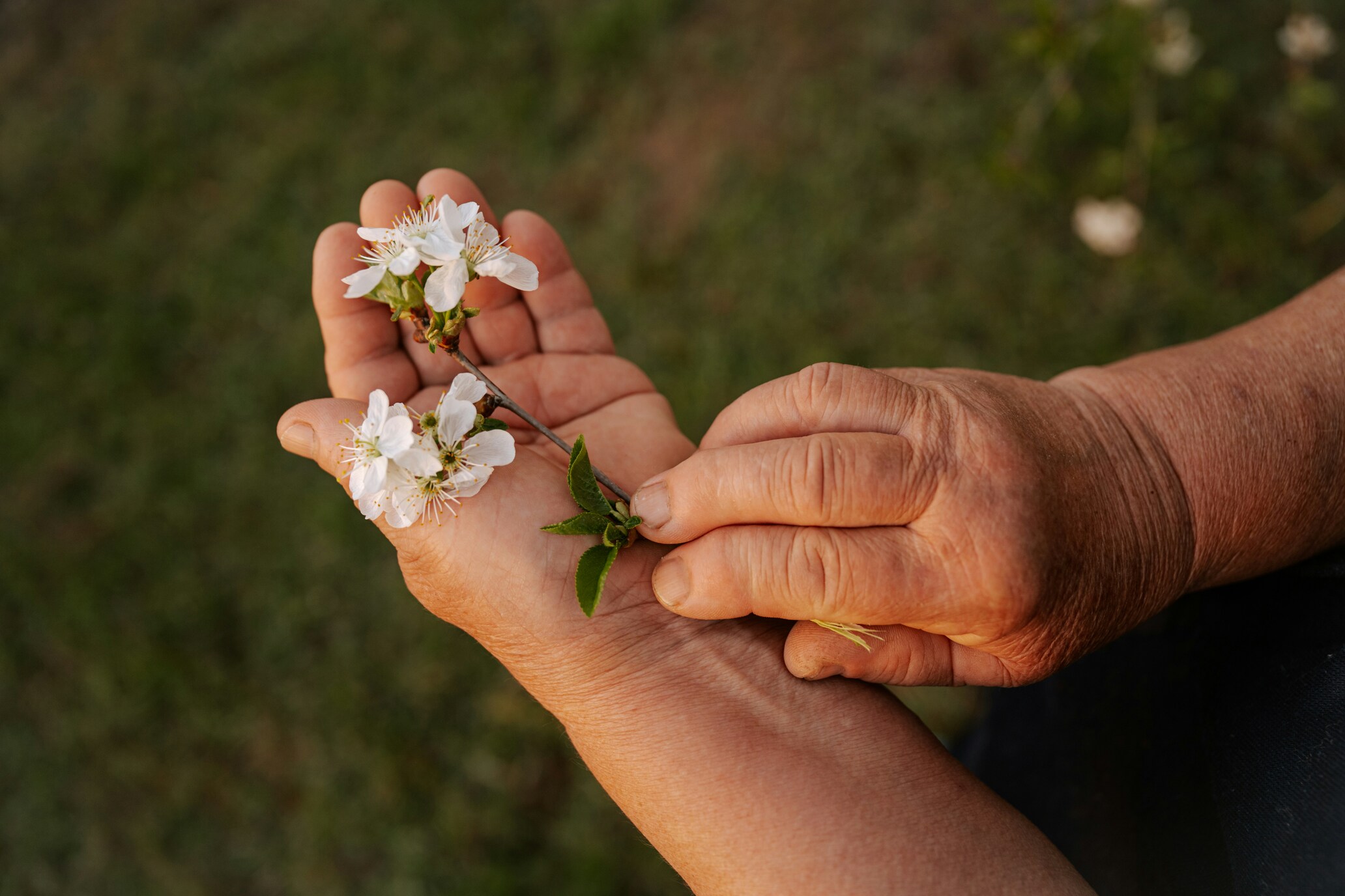 Longevity and well-being: How to stay healthy at every stage of life