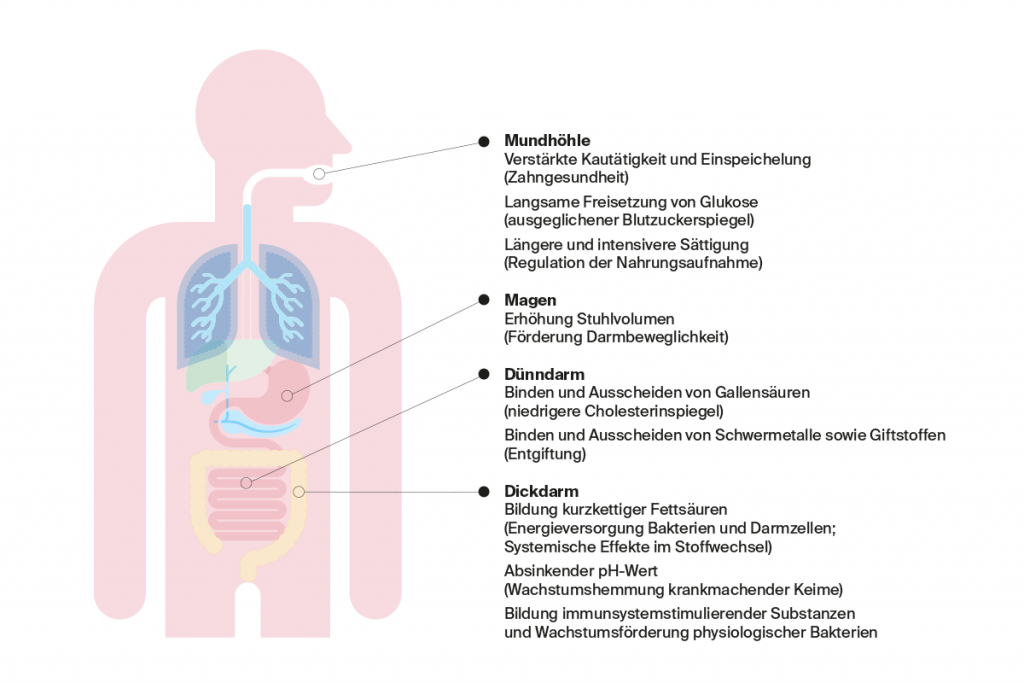 Premium Nahrungsergänzungsmittel & Superfood