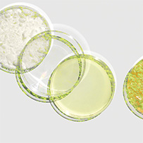 Multi Bild zu Diverse Vitamins