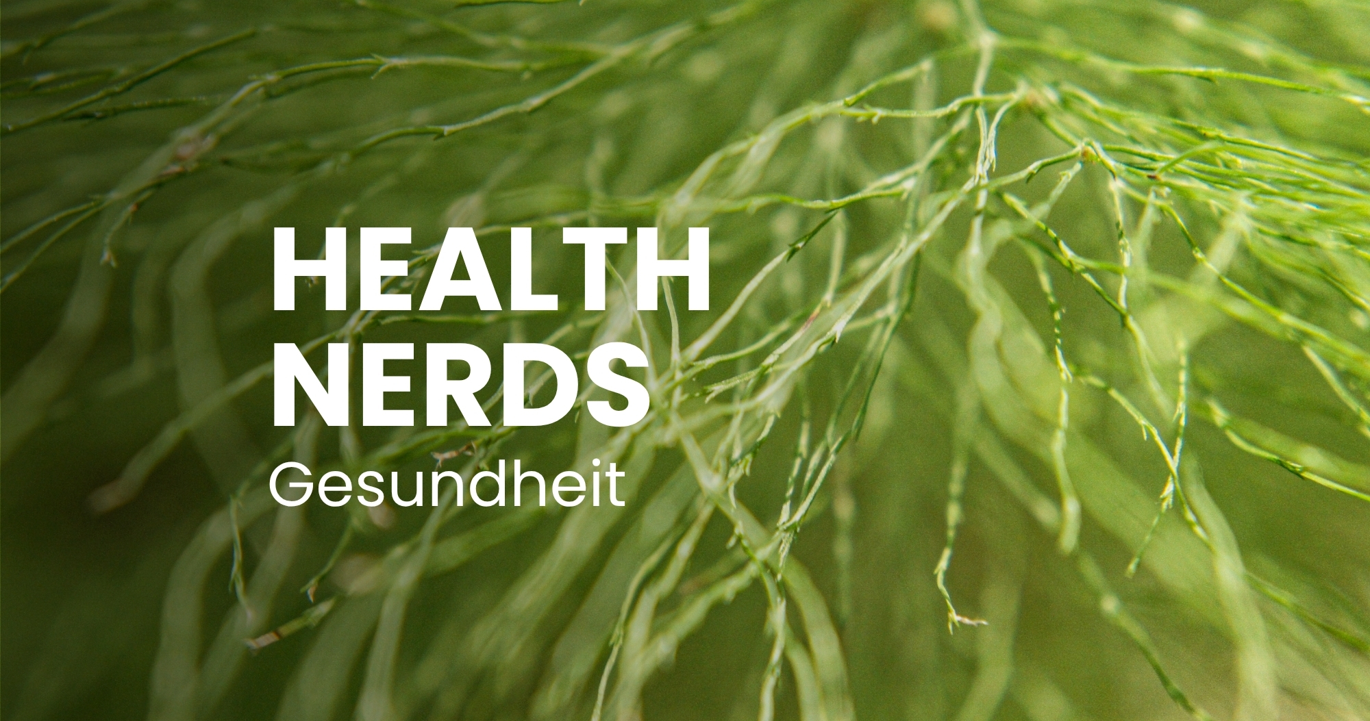 Health Podcast: Gut-Brain Axis - How the Microbiome Influences Health