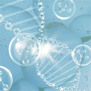 Kollagen Bild zu Optimale Bioverfügbarkeit